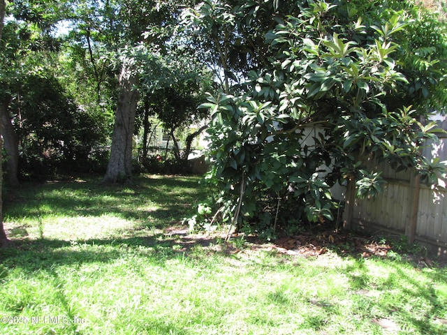2073 W 17th St, Jacksonville, FL 32209 - photo 5