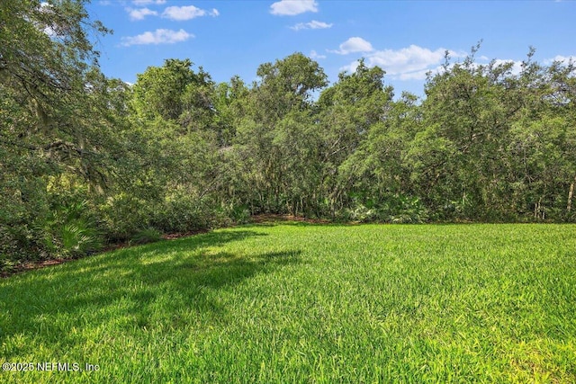 256 Liberty Bell Rd, Ponte Vedra, FL 32081 - photo 27
