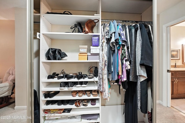 4251 Monument Rd Unit 805, Jacksonville, FL 32225 - closet with a sink