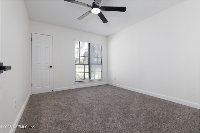 13257 Eucalyptus Dr, Jacksonville, FL 32225 - photo 21