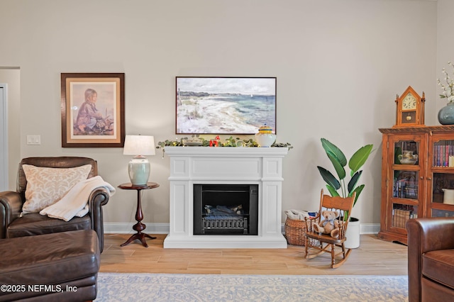 96740 Quartz Ln, Yulee, FL 32097 - living room with wood finished floors and a fireplace with raised hearth
