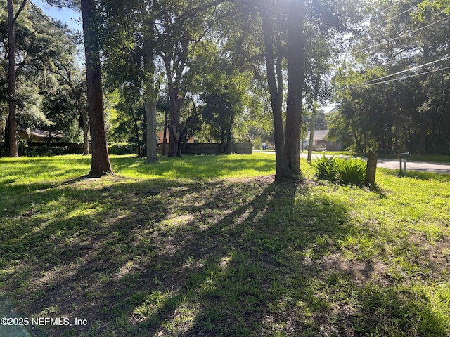729 Bonnieview Rd, Fernandina Beach, FL 32034 - photo 2