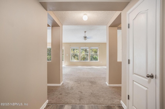 11690 Brian Lakes Dr N, Jacksonville, FL 32221 - photo 5