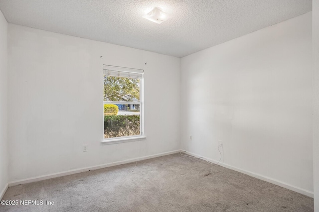 11690 Brian Lakes Dr N, Jacksonville, FL 32221 - photo 10
