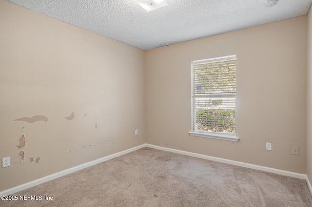 11690 Brian Lakes Dr N, Jacksonville, FL 32221 - photo 12