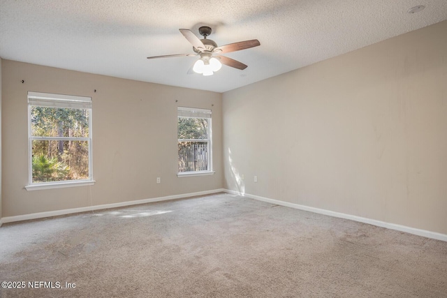 11690 Brian Lakes Dr N, Jacksonville, FL 32221 - photo 15