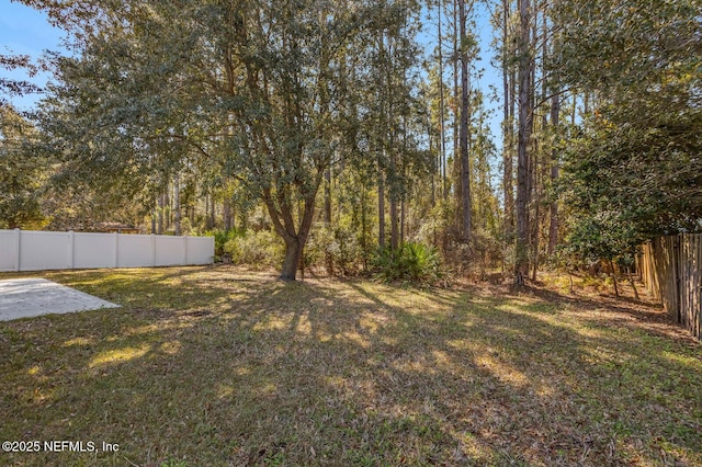 11690 Brian Lakes Dr N, Jacksonville, FL 32221 - photo 22