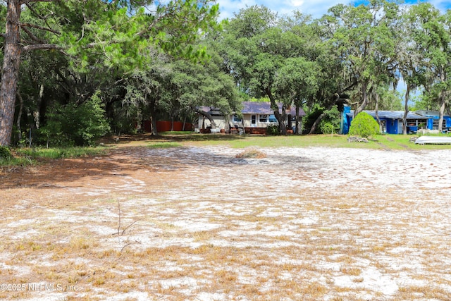 5299 County Road 352nd Rd, Keystone Heights, FL 32656 - view of yard
