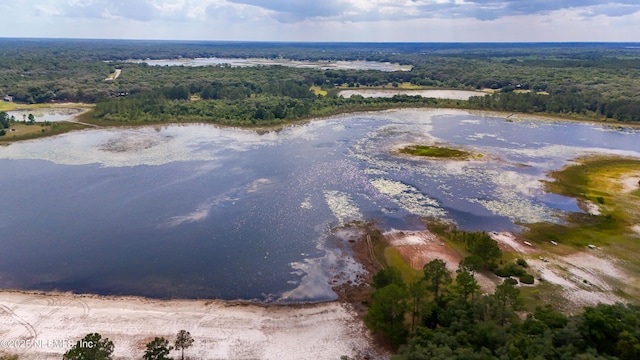 5299 County Road 352nd Rd, Keystone Heights, FL 32656 - drone / aerial view of a large body of water