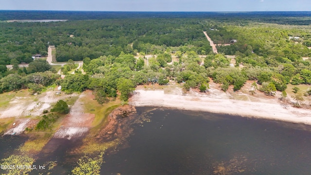 5299 County Road 352nd Rd, Keystone Heights, FL 32656 - aerial overview of property's location featuring a forest and a large body of water