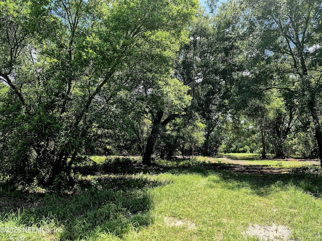 370 Union Ave, Crescent City, FL 32112 - photo 3