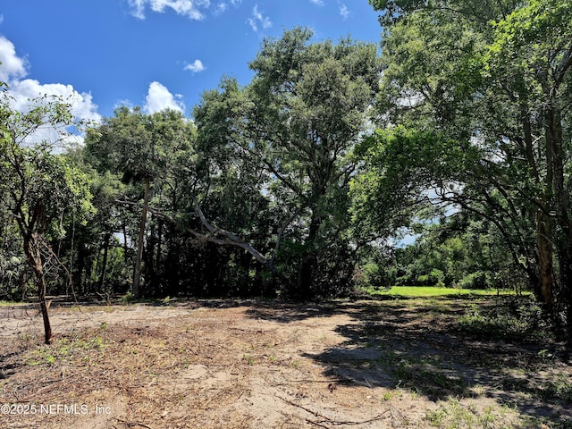 370 Union Ave, Crescent City, FL 32112 - photo 5