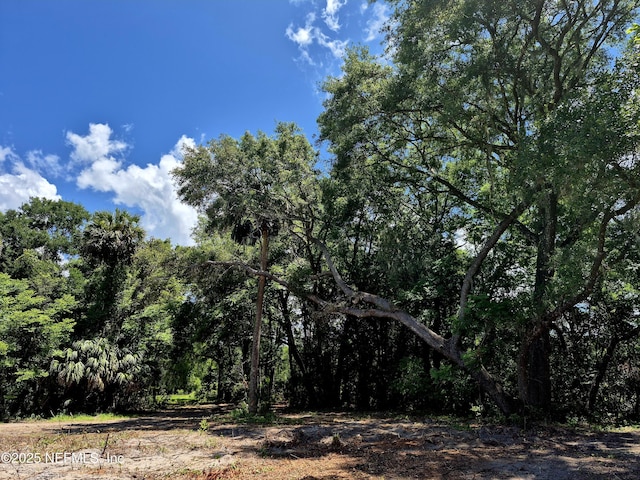 370 Union Ave, Crescent City, FL 32112 - photo 4