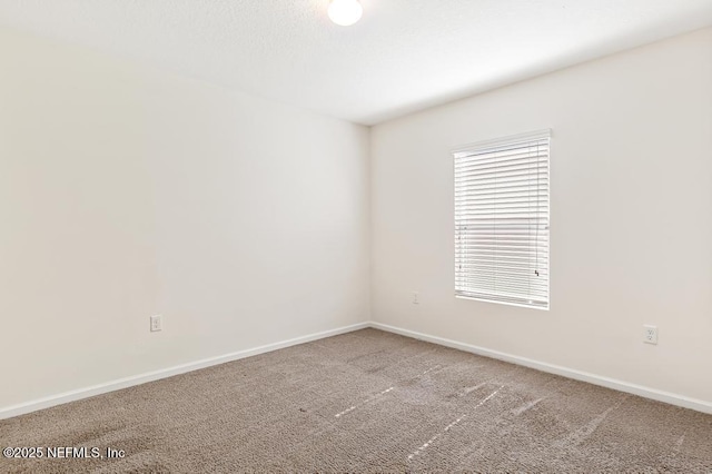 9851 Soldier Ct, Jacksonville, FL 32221 - photo 11