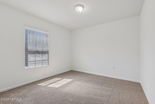 12168 Orchid Ct, Jacksonville, FL 32218 - photo 22