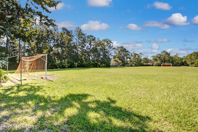 2189 The Woods Dr E, Jacksonville, FL 32246 - photo 40