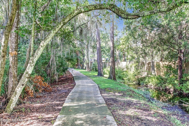 2189 The Woods Dr E, Jacksonville, FL 32246 - photo 44