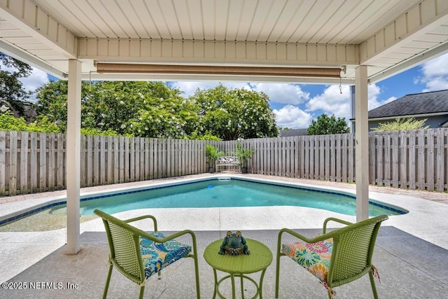 1069 Ardmore St, Saint Augustine, FL 32092 - view of pool featuring a fenced backyard and a patio