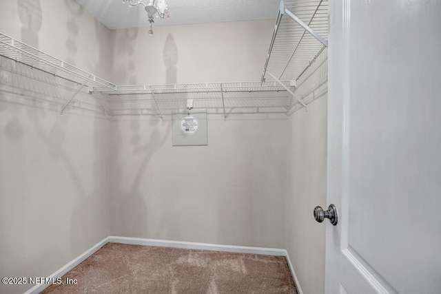 1069 Ardmore St, Saint Augustine, FL 32092 - walk in closet featuring carpet floors