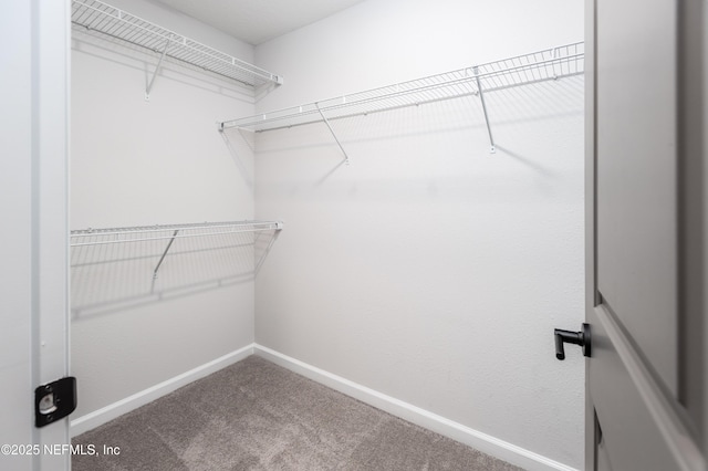 21 Vicksburg Dr, Saint Johns, FL 32259 - spacious closet featuring carpet