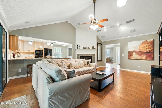 726 Arran Ct, Orange Park, FL 32073 - living room with a ceiling fan, vaulted ceiling, light wood-style flooring, ornamental molding, and a fireplace