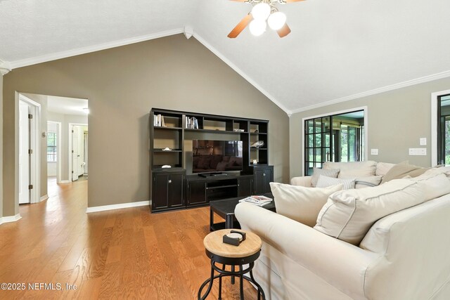 726 Arran Ct, Orange Park, FL 32073 - living area featuring ceiling fan, lofted ceiling, plenty of natural light, light wood finished floors, and crown molding