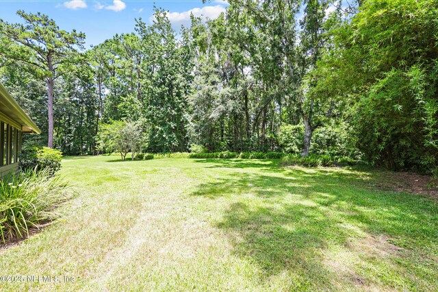726 Arran Ct, Orange Park, FL 32073 - view of green lawn