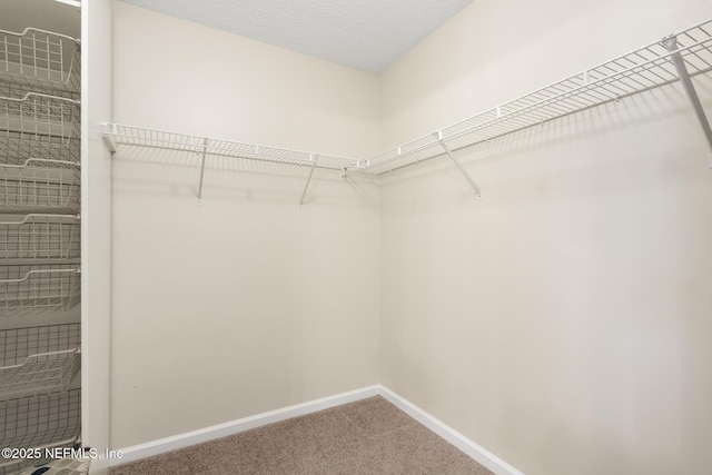 1517 Remington Way, Saint Augustine, FL 32084 - walk in closet with carpet floors