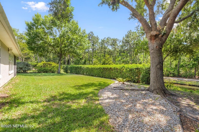 1517 Remington Way, Saint Augustine, FL 32084 - view of green lawn