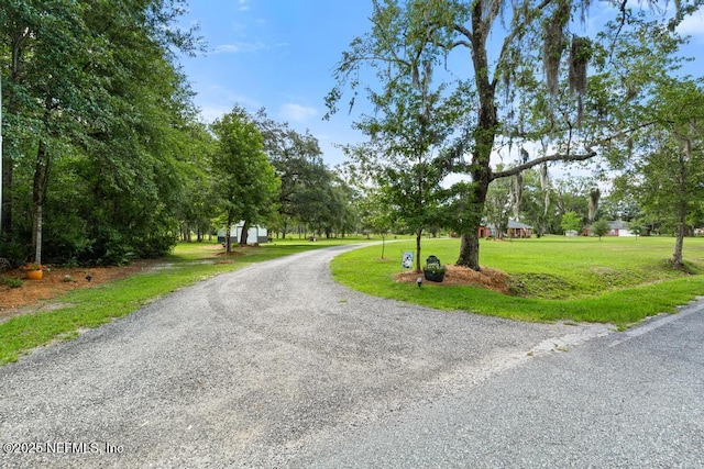 26122 Sheared Stokes Rd, Hilliard, FL 32046 - view of dirt / gravel road