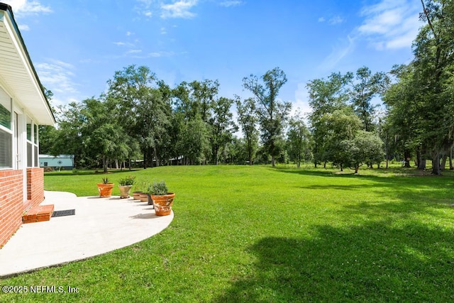 26122 Sheared Stokes Rd, Hilliard, FL 32046 - view of grassy yard featuring a patio and view of scattered trees