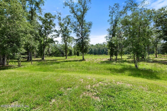 26122 Sheared Stokes Rd, Hilliard, FL 32046 - view of yard
