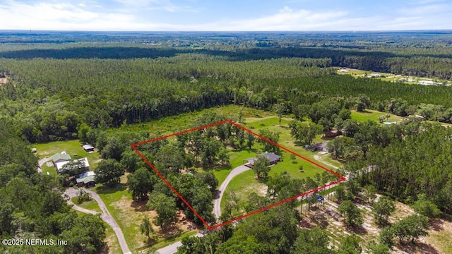 26122 Sheared Stokes Rd, Hilliard, FL 32046 - aerial view of property and surrounding area featuring a heavily wooded area and property boundaries highlighted