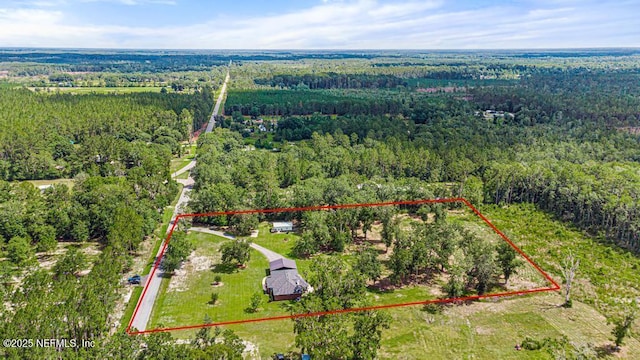 26122 Sheared Stokes Rd, Hilliard, FL 32046 - aerial view of property's location with a heavily wooded area and property parcel outlined