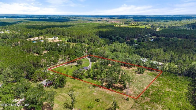 26122 Sheared Stokes Rd, Hilliard, FL 32046 - aerial view of property and surrounding area with a forest and property boundaries highlighted