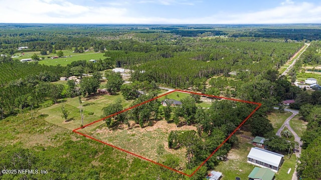 26122 Sheared Stokes Rd, Hilliard, FL 32046 - aerial view of property and surrounding area with property parcel outlined and a heavily wooded area
