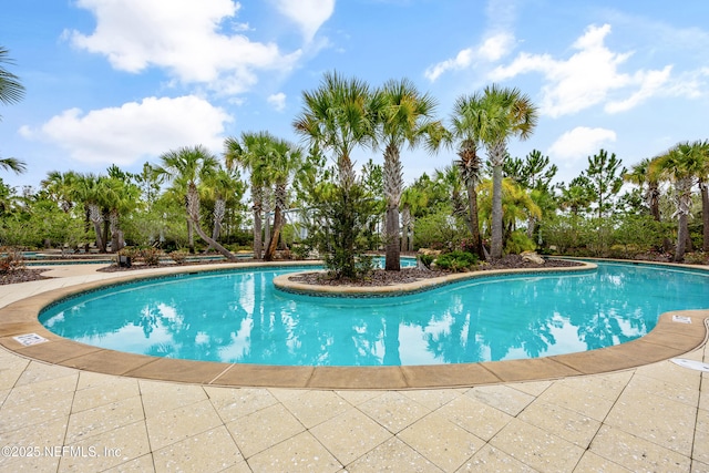 95 Carmella Ct, Saint Augustine, FL 32092 - photo 59