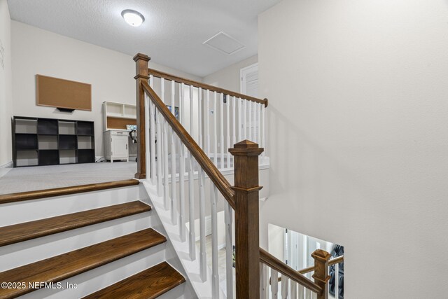 571 Amalurra Trl, Saint Johns, FL 32259 - photo 25