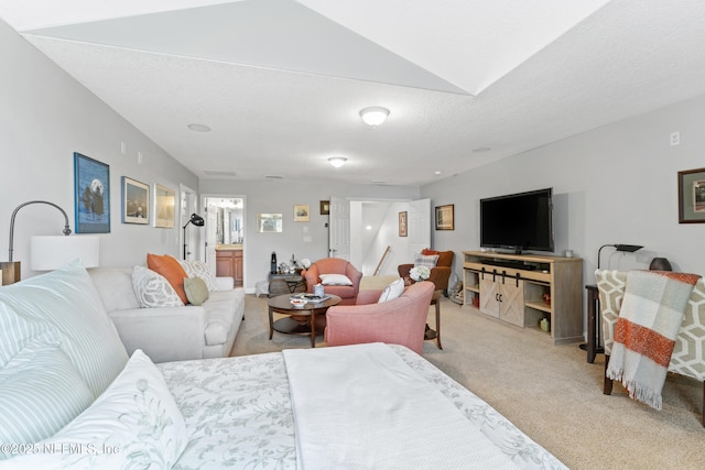 1317 Garrison Dr, Saint Augustine, FL 32092 - living area featuring carpet floors