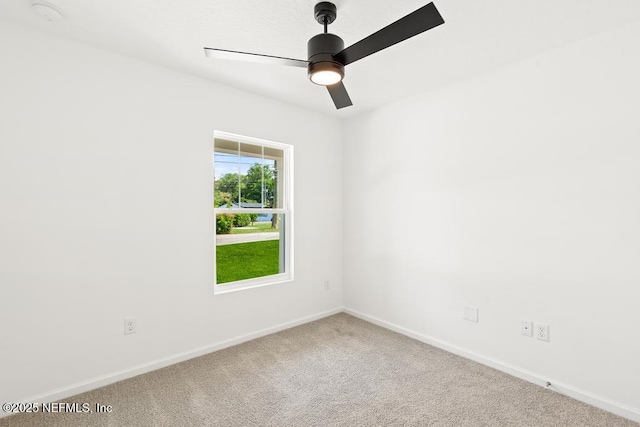 7845 Pipit Ave, Jacksonville, FL 32219 - photo 9