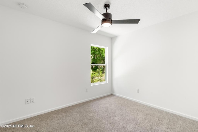 7845 Pipit Ave, Jacksonville, FL 32219 - photo 18