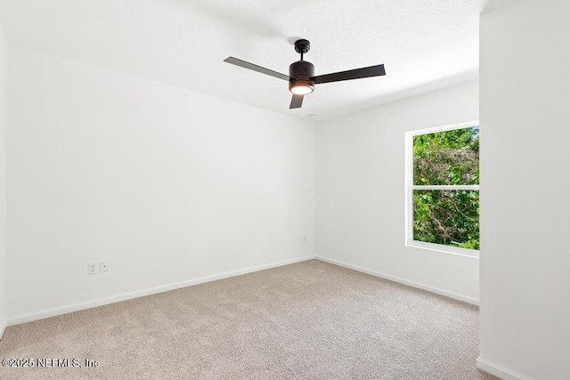 7845 Pipit Ave, Jacksonville, FL 32219 - photo 23