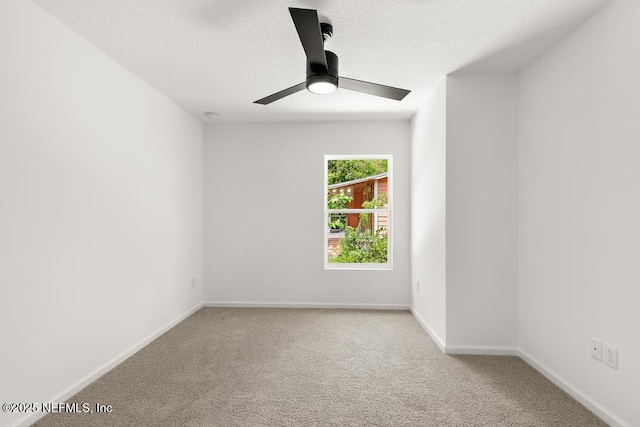7845 Pipit Ave, Jacksonville, FL 32219 - photo 24