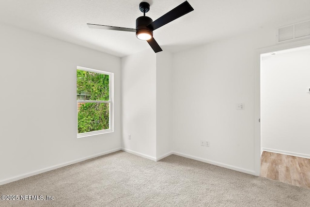 7845 Pipit Ave, Jacksonville, FL 32219 - photo 25