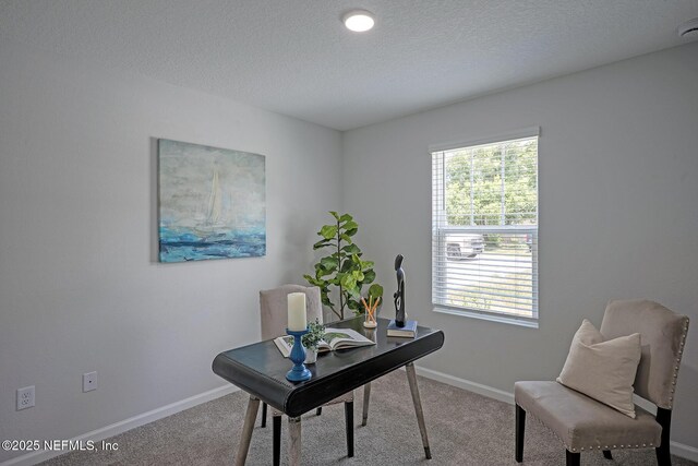 15230 Robert Ave, Jacksonville, FL 32218 - photo 3