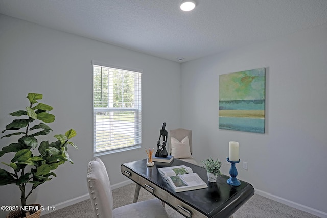15230 Robert Ave, Jacksonville, FL 32218 - photo 4