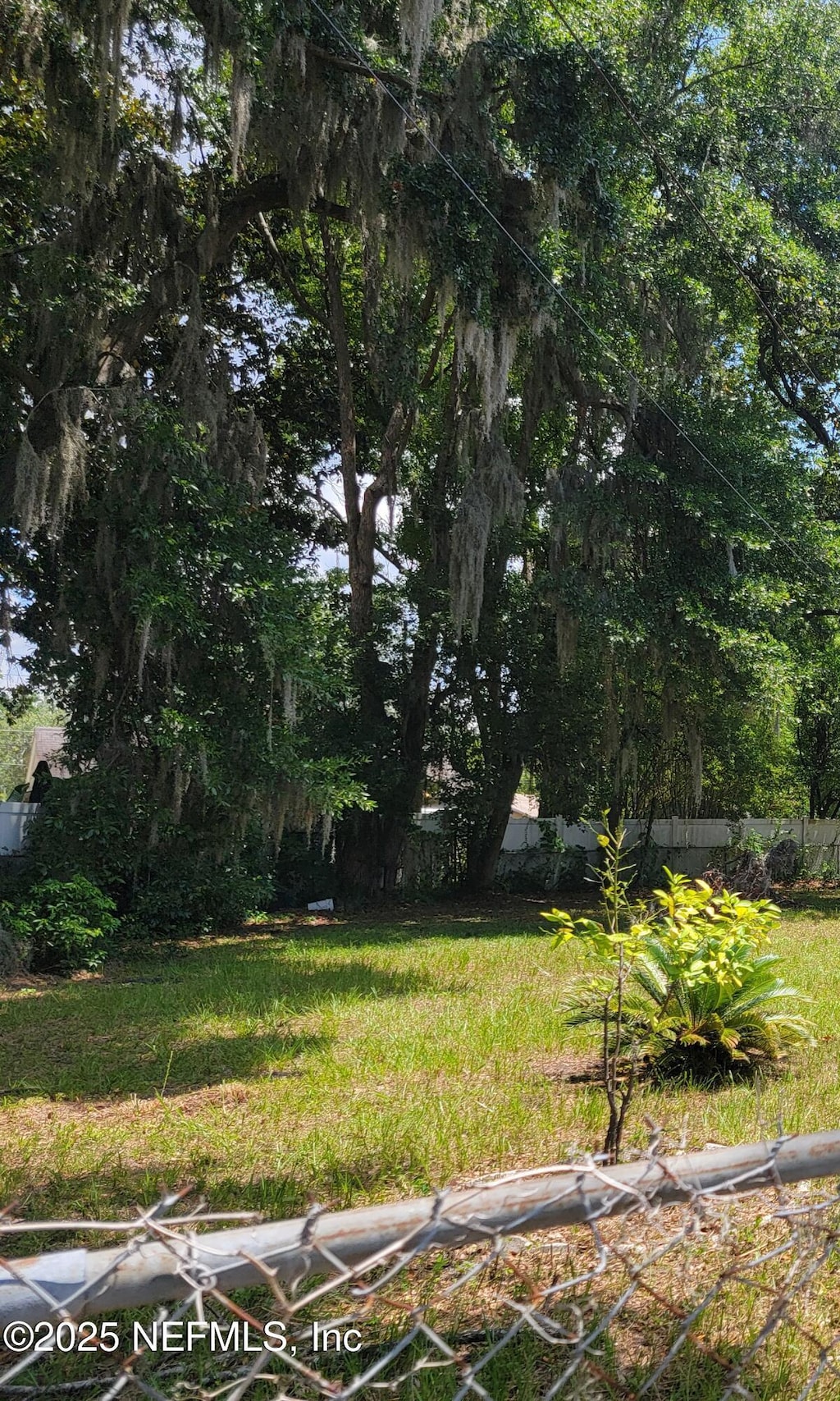 0 W 61st St, Jacksonville, FL 32208 - photo 1