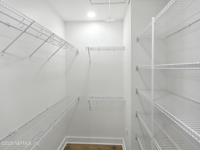 432 SE 55th St, Keystone Heights, FL 32656 - walk in closet with attic access