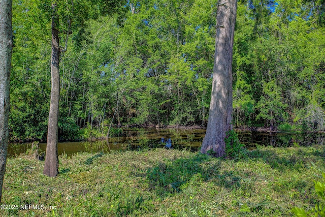 4302 Buck Point Rd, Jacksonville, FL 32210 - photo 71