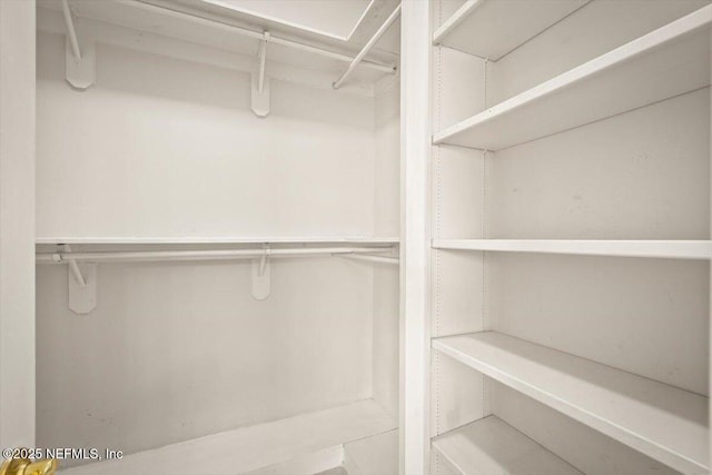 1385 Soaring Flight Way, Jacksonville, FL 32225 - view of spacious closet
